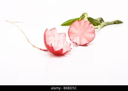 Radis en tranches succulentes attrayante de vue faible contre l'arrière-plan blanc. Banque D'Images