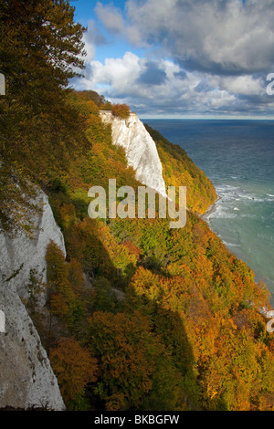 La célèbre falaise de craie Koenigsstuhl dans Parc National de Jasmund, sur l'île de Rügen, Mecklembourg-Poméranie-Occidentale, Allemagne. Banque D'Images