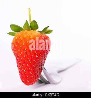 Fraise unique sur une fourchette. Format carré avec fond blanc. Selective focus met en évidence l'avant du fruit. Banque D'Images