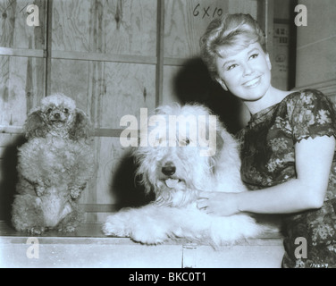 Veuillez NE PAS MANGER LES PÂQUERETTES (1960) DORIS DAY PDS 001P Banque D'Images