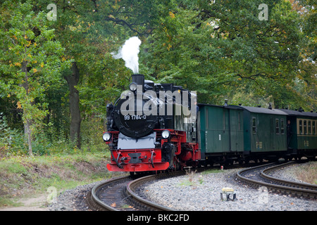 Un Ruegensche Baederbahn du train, surnommé Rasender Roland sur l'île de Rügen, Mecklembourg-Poméranie-Occidentale, Allemagne Banque D'Images