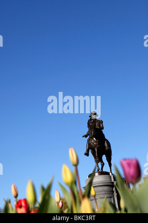Statue de George Washington, Boston Public Garden Banque D'Images
