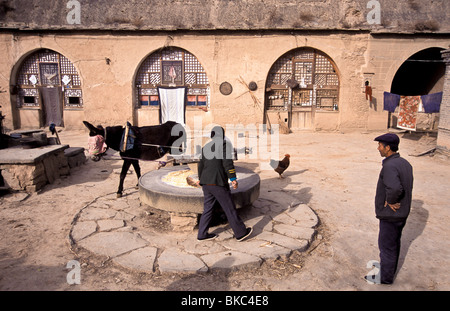 Chang Mei lin et du maïs dans leur usine de cour avec leur cave house dans l'arrière-plan, Chang Qu village, Shaanxi, Chine Banque D'Images