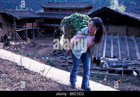 Ze Latso um, une minorité Suo Mo girl revient à la maison avec un grand panier attaché à l'arrière contenant des algues qui va nourrir le bétail Banque D'Images