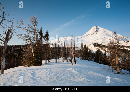 Mount Hood du Cloud Cap Salon, Cooper Spur, Mount Hood National Forest - Mount Hood, Oregon Banque D'Images