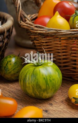 Les tomates (Lycopersicon esculentum) Banque D'Images