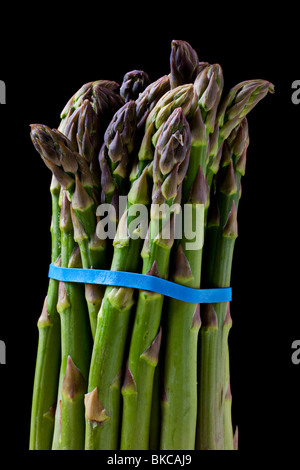 Asperges fraîches sur fond noir Banque D'Images