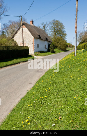 Un quartier calme route de campagne avec une chaumière traditionnelle d'un côté et une banque d'herbe en face de Chilton Oxfordshire Banque D'Images