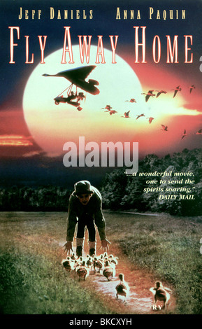 FLY AWAY HOME -1996 POSTER Banque D'Images