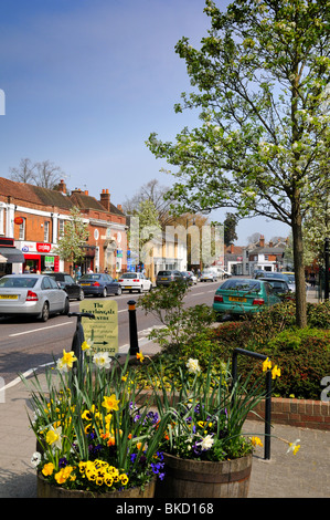 Hartley Wintney Village Center, Hampshire Angleterre Royaume-Uni Banque D'Images