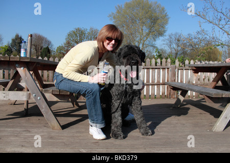 Chien Bouvier des Flandres avec middle aged woman sitting at table par la Tamise à East Molesey Cricket Club Banque D'Images