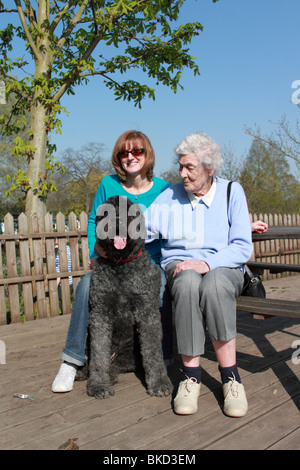 Chien Bouvier des Flandres avec femme d'âge moyen et plus dame assis à table par la Tamise à Dunmurry Cricket Club Banque D'Images