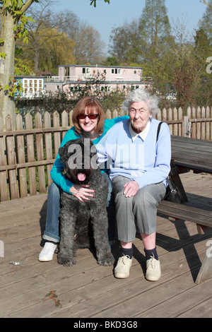 Chien Bouvier des Flandres avec femme d'âge moyen et plus dame assis à table par la Tamise à Dunmurry Cricket Club Banque D'Images