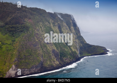 Le pali (falaise) vu de Waipio Valley Lookout au-dessus de Waipio, Hawaii. Banque D'Images