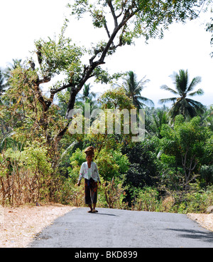 Route de Pura Sabakabian Bebetin,, près de Lovina, nord de bali , Indonésie Banque D'Images