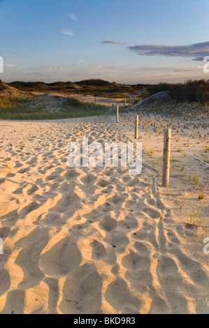 Dunes de sable de Cape Cod National Seashore, Provincetown, Massachusetts Banque D'Images