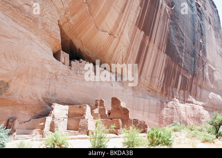 Falaise de la Maison blanche en ruines d'habitation Canyon de Chelly, Arizona Banque D'Images