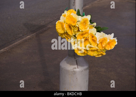 Roadside memorial bouquet de jonquilles fleurs en plastique attaché à un lampadaire à Abertillery Blaenau Gwent South Wales UK Banque D'Images