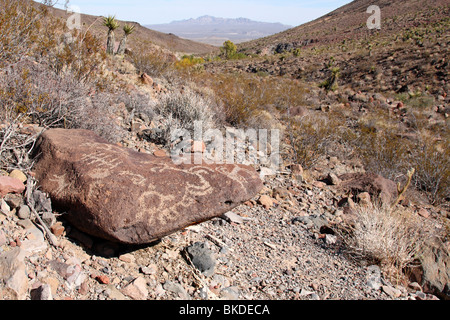 Pétroglyphes marquer un rocher près de Fort Piute à Mojave National Preserve Banque D'Images