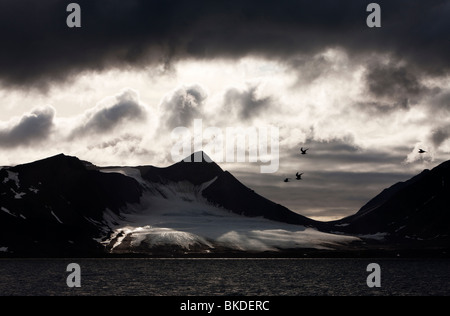 La Norvège, Svalbard, des pics de montagne sur Prins Karls Forland le long de la côte ouest de l'île de Spitsbergen Banque D'Images