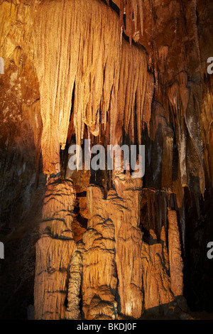 Stalactites, Newdegate, Grotte Grottes de Hastings, le sud de la Tasmanie, Australie Banque D'Images