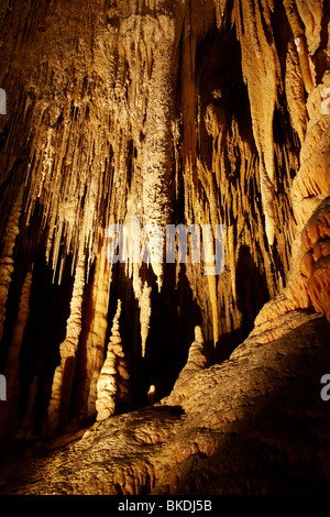 Stalactites, Newdegate, Grotte Grottes de Hastings, le sud de la Tasmanie, Australie Banque D'Images