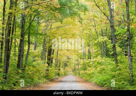 Couleurs d'automne le long des petits lane East Penninsular, Michigan USA LA004355 Banque D'Images