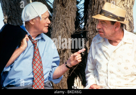 Un drôle de couple II (1998) Un drôle de couple 2 (ALT) Jack Lemmon, WALTER MATTHAU ODC2 003 Banque D'Images