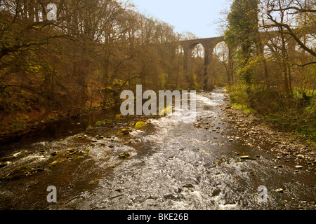 Almondell et Calderwood Country Park, Livingston Banque D'Images