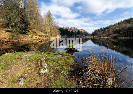 Yew Tree Tarn dans le Lake District Banque D'Images