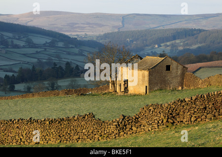 Un champ partiellement en ruine près de grange avec Appletreewick Barden Tower dans la distance, la Wharfedale, Yorkshire, England, UK Banque D'Images