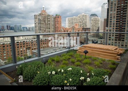 Un toit vert sur le visionaire, un vert condominium dans Battery Park City à New York Banque D'Images