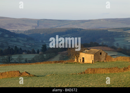 Un champ partiellement en ruine près de grange avec Appletreewick Barden Tower dans la distance, la Wharfedale, Yorkshire, England, UK Banque D'Images