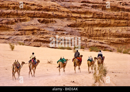 Dromadaires montés dans le désert Banque D'Images