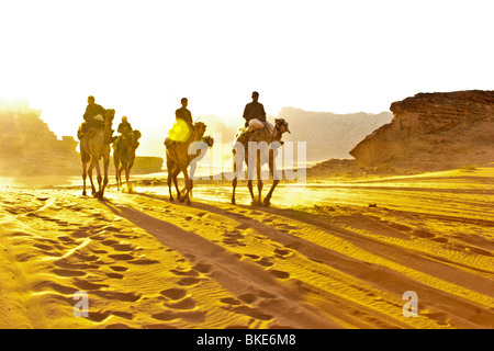 Dromadaires montés dans le désert , Wadi Rum , Jordanie Banque D'Images