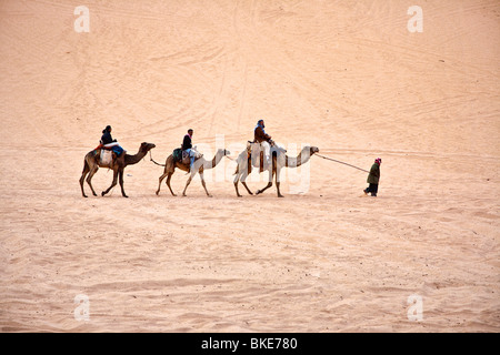 Dromadaires montés dans le désert , Wadi Rum , Jordanie Banque D'Images