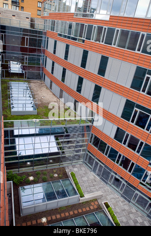 Un toit vert et des puits de lumière sur le visionaire, un vert condominium dans Battery Park City à New York Banque D'Images