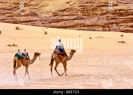 Dromadaires montés dans le désert , Wadi Rum , Jordanie Banque D'Images