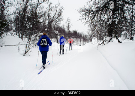Les skieurs de fond en forêt près de Gålå, Norvège Banque D'Images