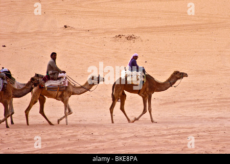 Dromadaires montés dans le désert , Wadi Rum , Jordanie Banque D'Images