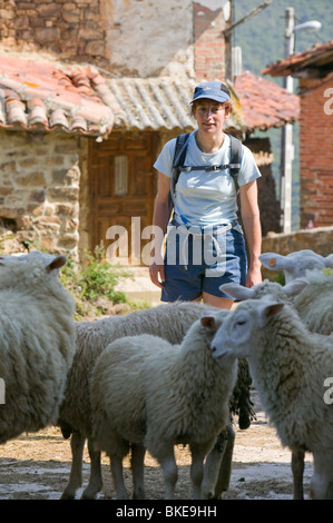 Walker et un troupeau de moutons dans un petit village de montagne au-dessus de Potes dans le massif des pics d''Europe du nord de l'Espagne Banque D'Images