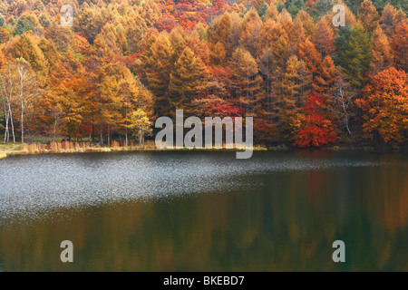 Vue sur le lac et le Japon Nagano teinte d'automne Banque D'Images