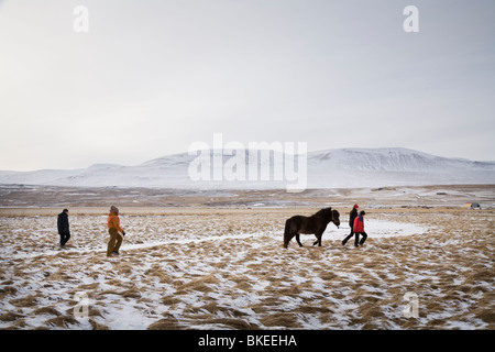 Quatre personnes avec un cheval, l'Islande Skagafjordur Banque D'Images