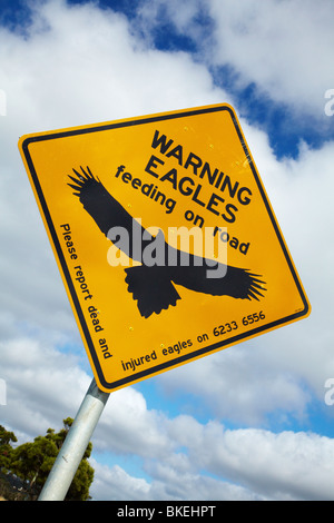 Panneau d'avertissement de l'aigle, basse l'Autoroute Près de Smithton, dans le Nord de la Tasmanie, Australie Banque D'Images