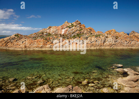 Lichen orange sur les rochers, West Point, le nord-ouest de la Tasmanie, Australie Banque D'Images