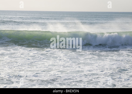Milady's beach à Biarritz, pour un jour de grosses vagues (été) - Body boarder, surf Banque D'Images