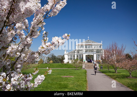 Vue de côté de l'Europe House Kew Gardens avec Blossom Tree Banque D'Images