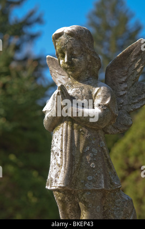 Une statue d'un enfant angélique est figée dans le temps avec ses' les mains jointes en prière silencieuse. Banque D'Images