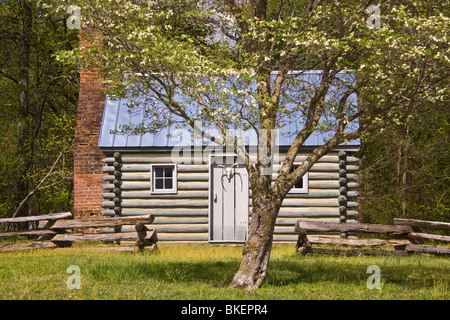 Une cabane trading post avec cheminée en brique sur la Pamunkey Reservation le long de la Pamunkey River en Virginie. Banque D'Images