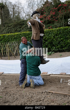 Déménagement jardinier un épouvantail devant le binage et la plantation des légumes à Heligan Gardens Cornwall dans l'Ouest Pays Angleterre UK Banque D'Images